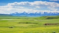 endangered steppe conservation efforts