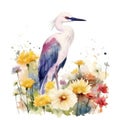 Endearing Baby Egret in a Colorful Flower Field for Art Prints and Greetings.