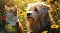 Endearing cat and cute dog in green garden among thick grass and flowers, basking in warmth