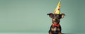 An Endearing Dog Dons A Party Hat And Glasses Ready To Celebrate With Boundless Charm