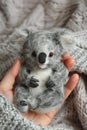 The endearing image of a person cradling a fluffy koala plush toy