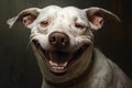 Endearing Smiling dog with teeth. Generate Ai