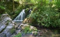 Endert creek, Eifel area, Rhineland-Palatinate, Germany