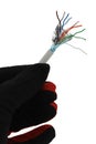 Ending of shielded lan network cable STP cat 5E held in left hand in black glove, white background. Royalty Free Stock Photo