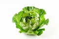 Endive or butterhead lettuce isolated on white background. Fresh green salad leaves from garden Royalty Free Stock Photo