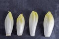 Endive Cichorium endivia with beautiful soft green leaves,aligned on slate table.