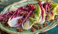Endive leaves with walnut and apple salad on a pastel green plate Royalty Free Stock Photo