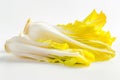 Endive lettuce isolated on white background. Fresh green salad leaves from garden Royalty Free Stock Photo