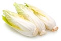 Endive lettuce isolated on white background. Fresh green salad leaves from garden Royalty Free Stock Photo