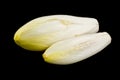 Endives Royalty Free Stock Photo