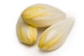 Endives Royalty Free Stock Photo