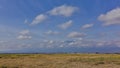 The endless African savannah with yellow grass stretches to the horizon.