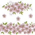 Endless brush of sakura flowers