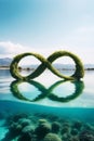 Endless Echo: Various Representations of the Infinity Symbol