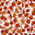 Vector hand drawn seamless pattern of fall leaves of birch, oak, maple, ash trees Royalty Free Stock Photo