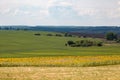 Endless farm fields are sown with various crops. A strip of sunflower field. Peaceful rural landscape. Summer in the eastern Royalty Free Stock Photo