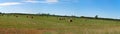 Endless farms waiting for the next season, Manitoulin, ON, Canada