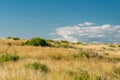 An endless field with dry tall grass and green bushes against the blue sky. Royalty Free Stock Photo