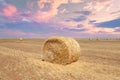 Endless fields of hay bails