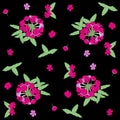 Endless floral wallpaper pattern with verbena on black background