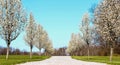 Endless Gravel Road In The Countryside