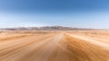 Endless gravel roads to Cape Cross, Namibia.