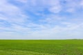 Endless green field in spring Royalty Free Stock Photo