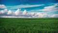 Endless green field under a vast blue sky with clouds Royalty Free Stock Photo