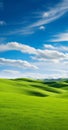 Endless green fields under cloudy blue sky. Environment concept
