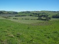 Endless green landscape and winery in NZL