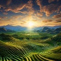 Endless Horizons: Crop Fields Meeting the Edge of the World Royalty Free Stock Photo