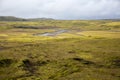 Endless lava fields covered with green moss crosses a small river, fancifully curving