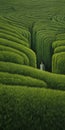 Endless Lawn: A Detailed Oil Painting Inspired By Paul Corfield And Anton Semenov