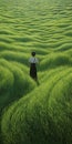 Endless Lawn: A Dreamlike Journey Through Grassy Fields Royalty Free Stock Photo