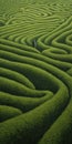Endless Lawn: A Jimmy Lawlor Inspired Painting Of A Person Walking In A Maze