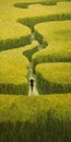 Endless Lawn: A Man\'s Journey Through A Maze Of Yellow Grass