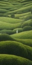 Endless Lawn: Mind-bending Patterns In Meticulous Realism