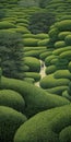 Endless Lawn: A Surrealist Manga Path Through A Hedge Maze