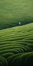 Endless Lawn: A Surrealistic Journey Through Rural China