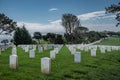 Endless lines of white tombstones, Rosecrans Cemetery, San Diego, CA, USA Royalty Free Stock Photo