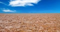 Endless monotone brown white salt flat desert crust surface, dry barren landscape, blue sky horizon, fluffy cloud - Salar de Royalty Free Stock Photo