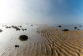 Endless ocean floor uncovered at low tide with sand structures and rocks and tidal pools under lifting fog in the blue sky Royalty Free Stock Photo