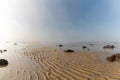 Endless ocean floor uncovered at low tide with sand structures and rocks and tidal pools under lifting fog in the blue sky Royalty Free Stock Photo