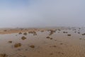 Endless ocean floor uncovered at low tide with sand structures and rocks and tidal pools under lifting fog in the blue sky Royalty Free Stock Photo
