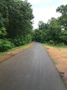 An endless path going inside a forest