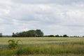 Endless plain Hungary