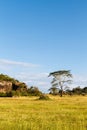 Endless plain of Serengeti. Tanzania, Africa