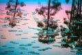 Endless polar day in the Arctic. A beautiful reflection of the night sky pink and a trees in a glossy water of the lake.