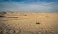 Sand dunes huacachina Royalty Free Stock Photo