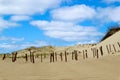 Endless sand dunes under the blue sky with clouds, Baltic sea coast, Curonian spit, Lithuania Royalty Free Stock Photo